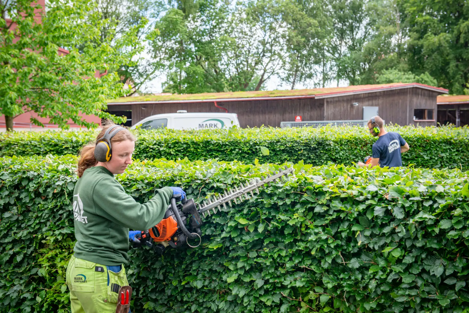 Häckklippning i Lund, Malmö och övriga Skåne