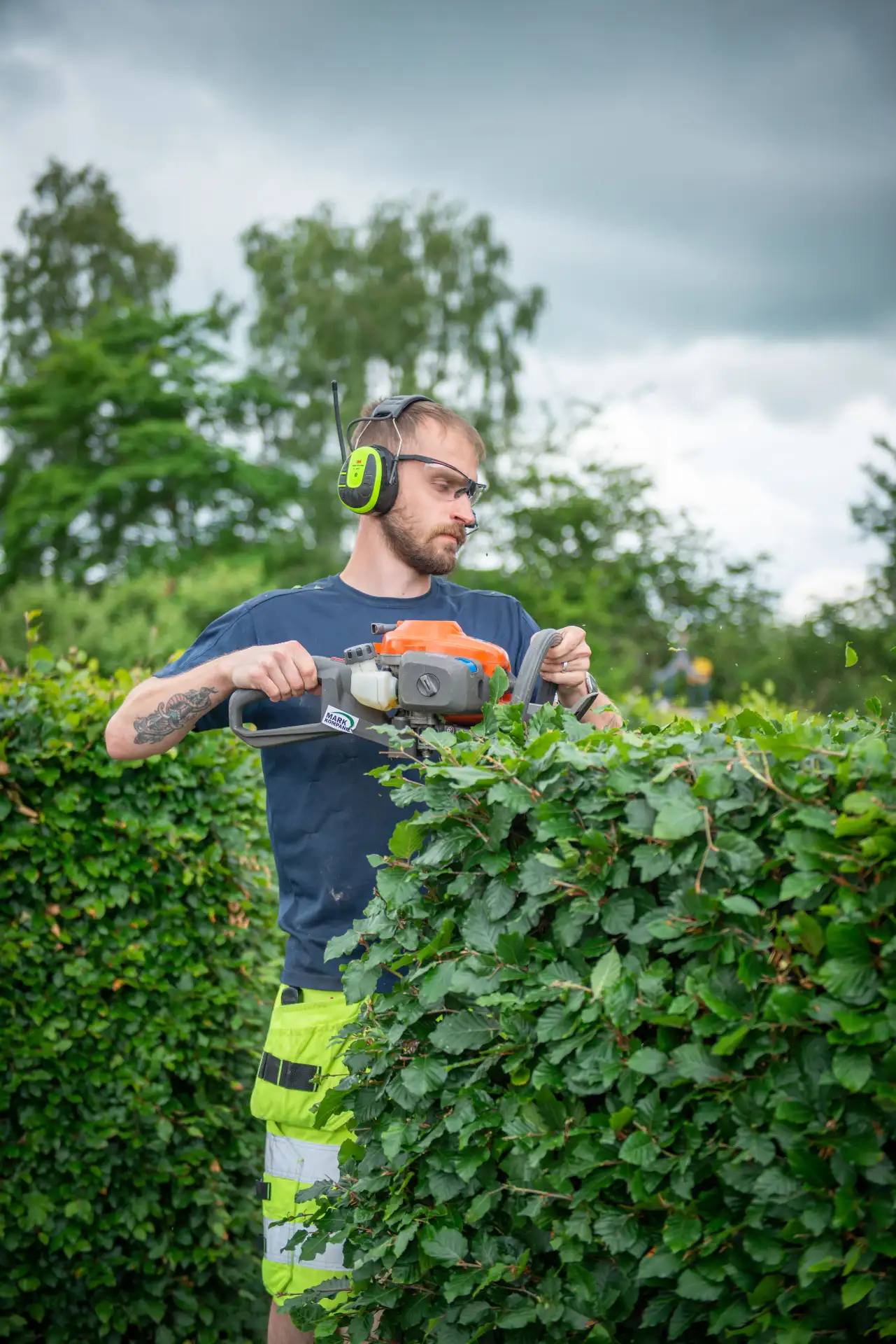 Häckklippning och plantering i Skåne