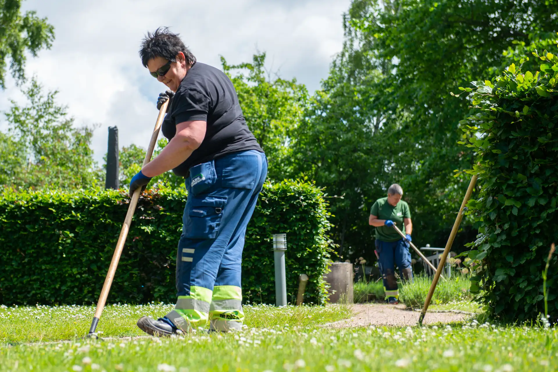 Plantering i Skåne