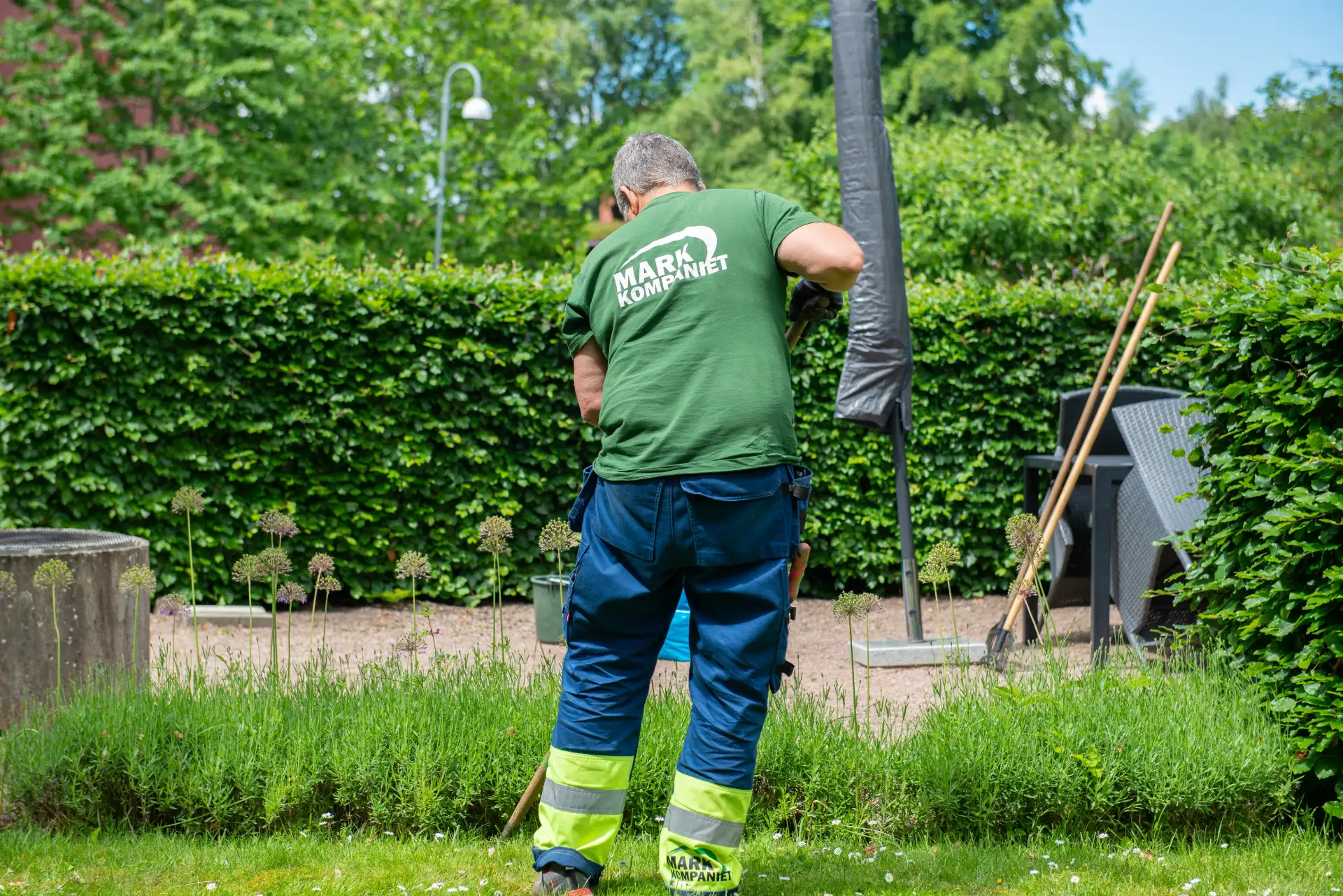 Plantering och skötsel av trädgård i Lund